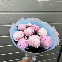 Изображение 5