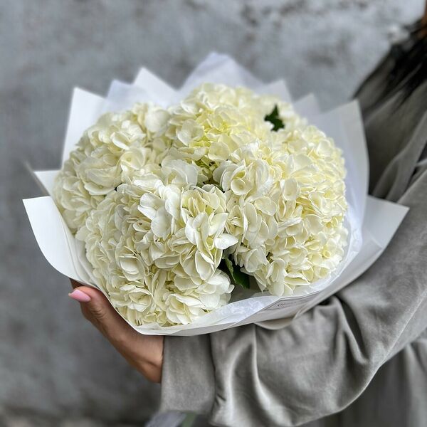 Моно из белой гортензии