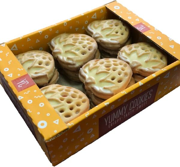 Печенье Berner со сливочно-черничным вкусом в сахарной глазури 475г