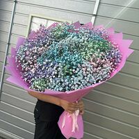 Изображение 5