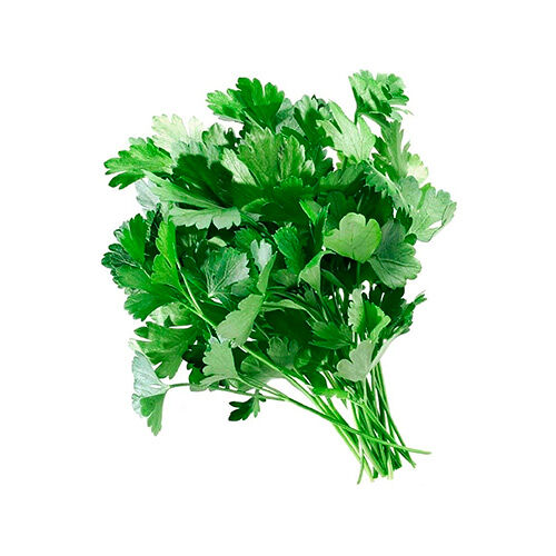 Кинза Зеленая грядка, 70г