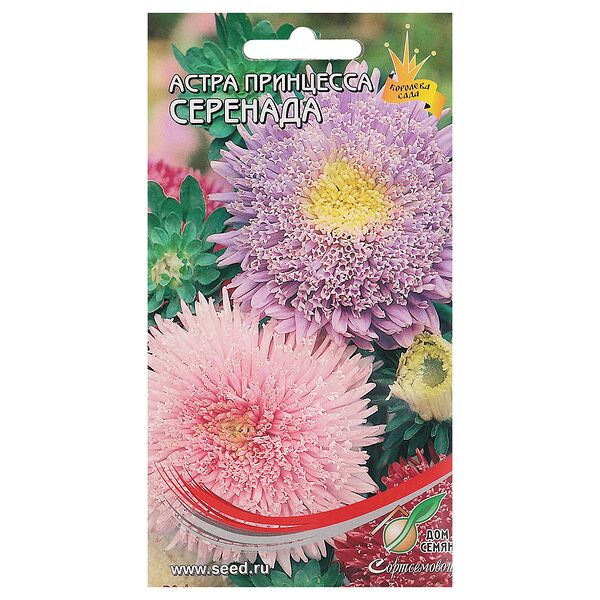 Семена Астра Принцесса Серенада