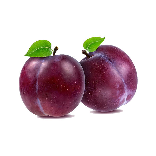 Слива свежая Молдова вес