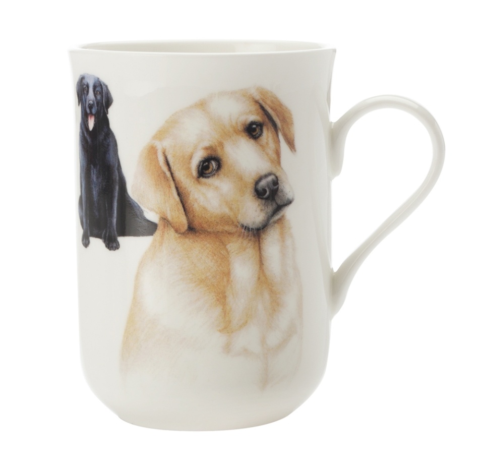 

Кружка Maxwell&Williams Лабрадор из костяного фарфора коллекция Питомцы в подарочной упаковке 300 мл