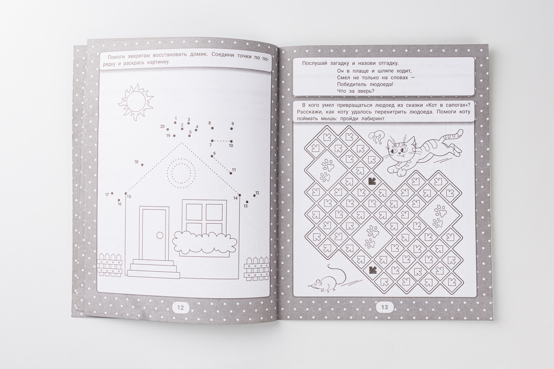 

IQ-загадки и раскраски-отгадки: 5+. Феникс