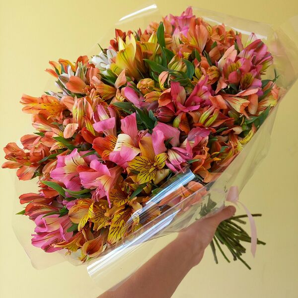 Свежий букет ярких альстрамерий