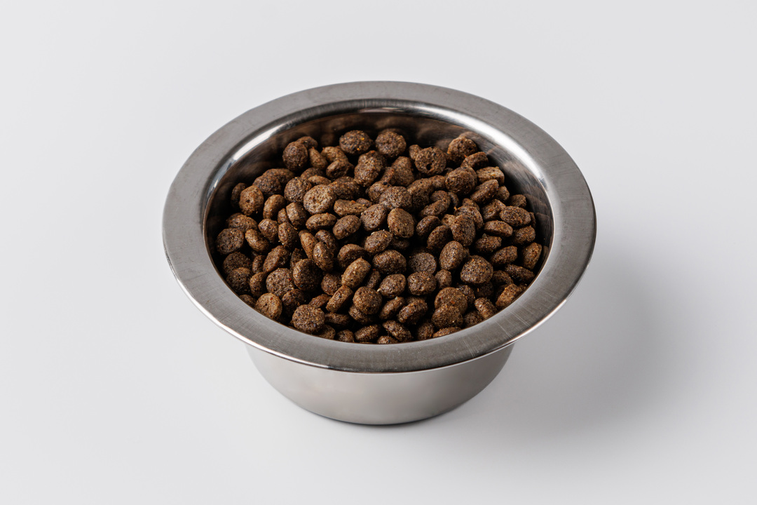 

Корм сухой полнорационный для взрослых кошек всех пород с говядиной и голубикой CatVill