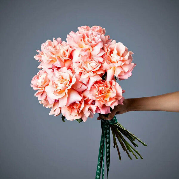 Монобукет 17 Роз Hermosa Французский поцелуй