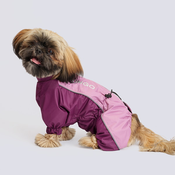 Rungo Дождевик Шитцу девочка пудра