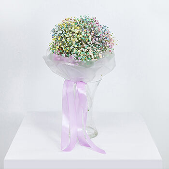 Букет Ирис из 9 цветных гипсофил, Эквадор