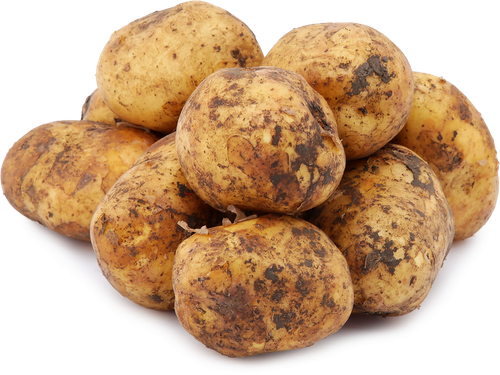 

Картофель фасованный 5000 г