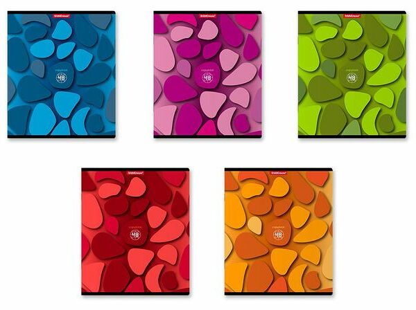 Тетрадь общая ученическая ТМ ErichKrause (ЭрихКраузе)  в ассортименте