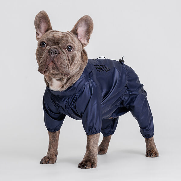 Дождевик для собак, 2XL, чернильный (мальчик)