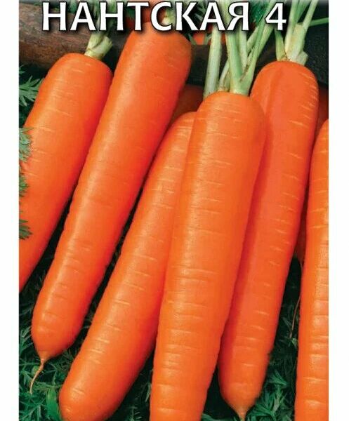 Семена ГАВРИШ Морковь Нантская 4 2,0 г