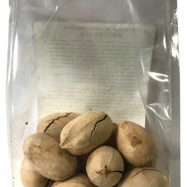 Орех пекан в скорлупе Фуд Арт, 120 г