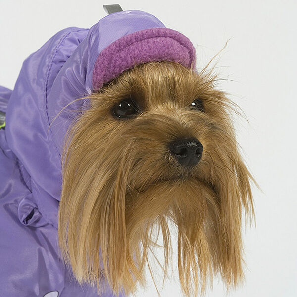 Шапка теплая для собак S (унисекс)