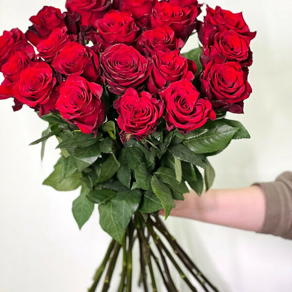 25 красных роз Эквадор под ленту