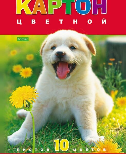 Набор цветного картона Hatber ECO Белый щенок 10 листов 10 цветов А4