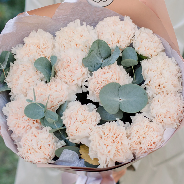 Букет из 15 кремовых гвоздик с эвкалиптом в кремовой пленке