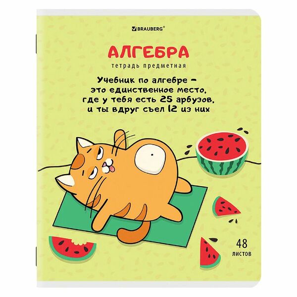 Тетрадь в клетку предметная Brauberg Кот-Энтузиаст Алгебра, 48 листов