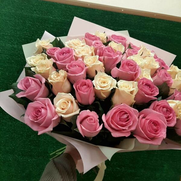 51 кремово-розовая роза