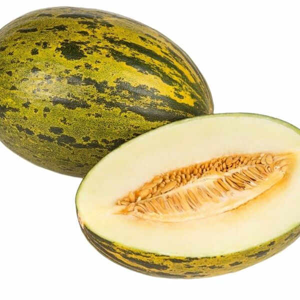 Дыня Пьель Де Сапо, весовая