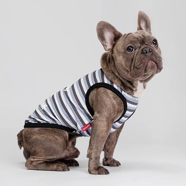 Майка полосатая с ленивцем для собак и кошек, 2XL, синяя