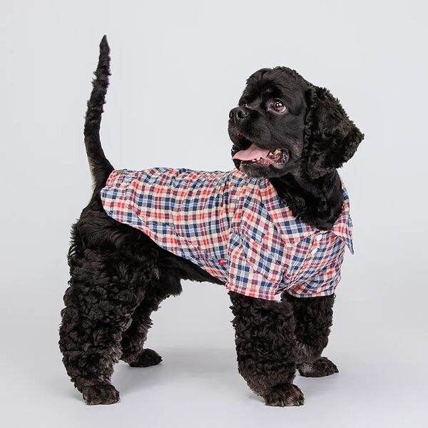 Petmax Рубашка сине-красная в клеточку 3XL