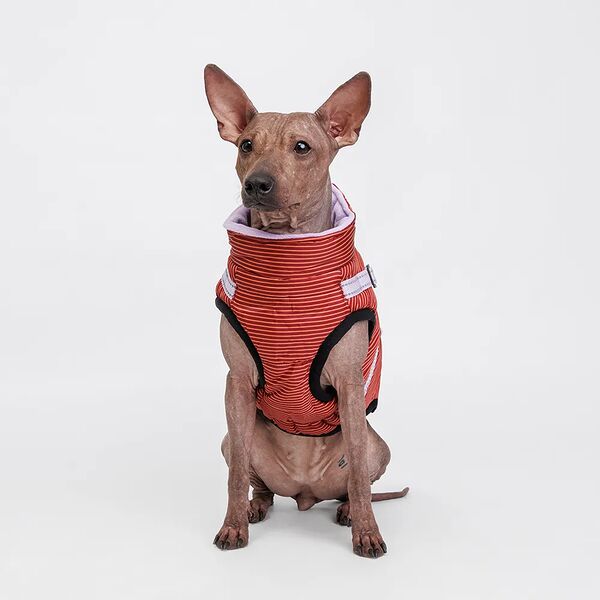 Попона теплая со шлейкой для собак, XL, красная