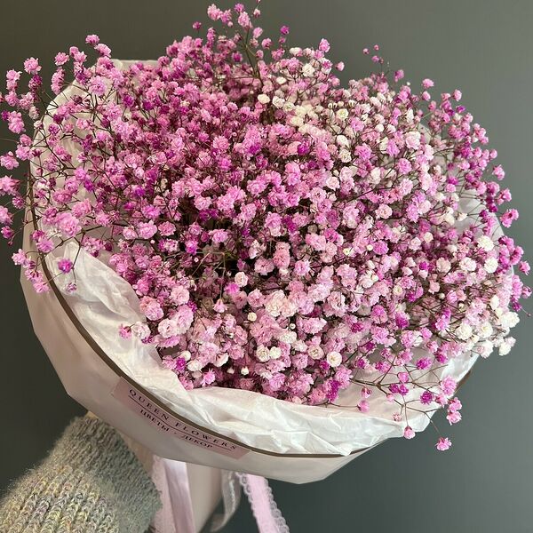 Гипсофила розовая