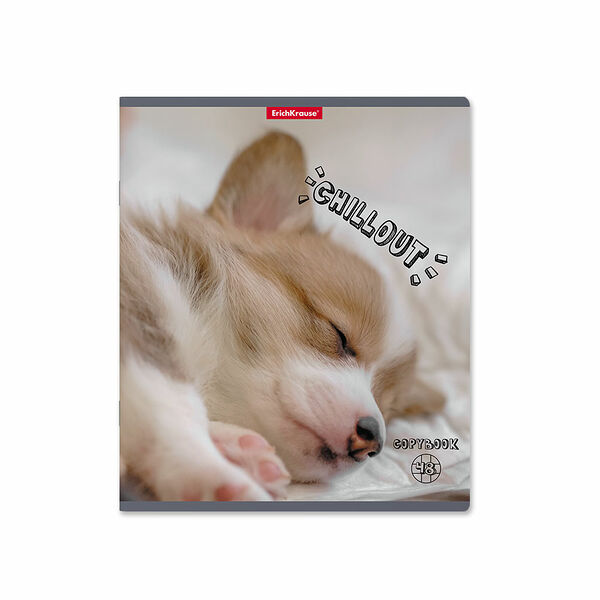 Тетрадь Erich Krause Chillout клетка, 48 листов, в ассортименте