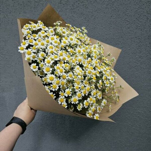 Букет ромашек