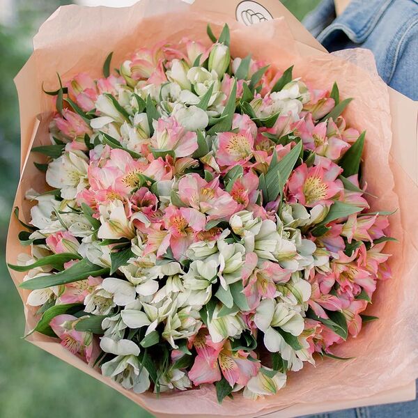Букет из 35 белых и розовых альстромерий в кремовой пленке