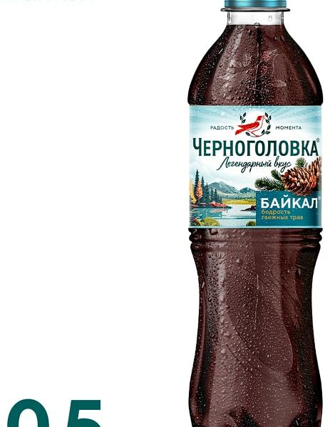 Напиток Черноголовка Байкал 500мл