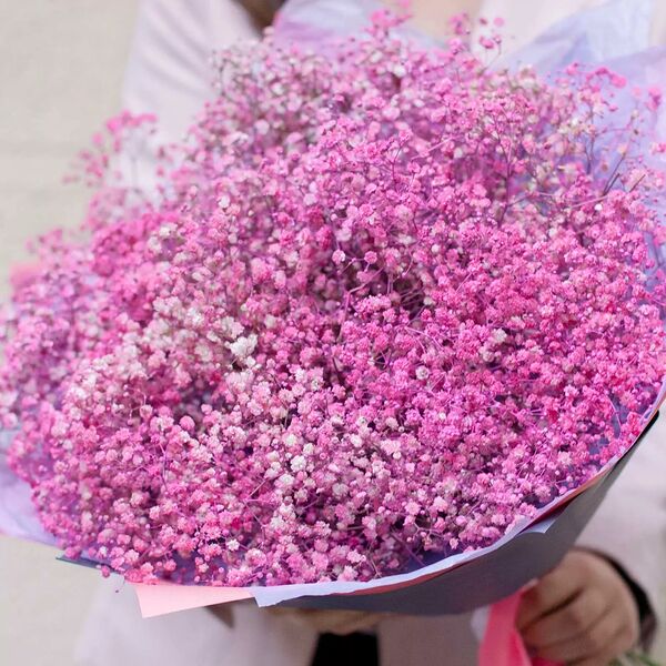 Букет из 25 розовых гипсофил