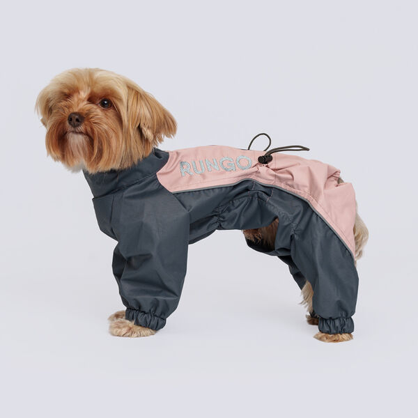 Rungo Дождевик Йорк, Чихуа мальчик L пудрово-серый