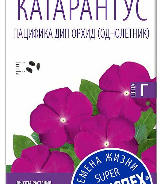 Семена Катарантус Пацифика дип орхид ТМ Агроуспех