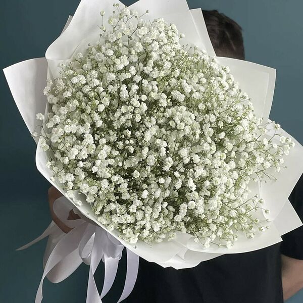 Белая гипсофила 7 шт