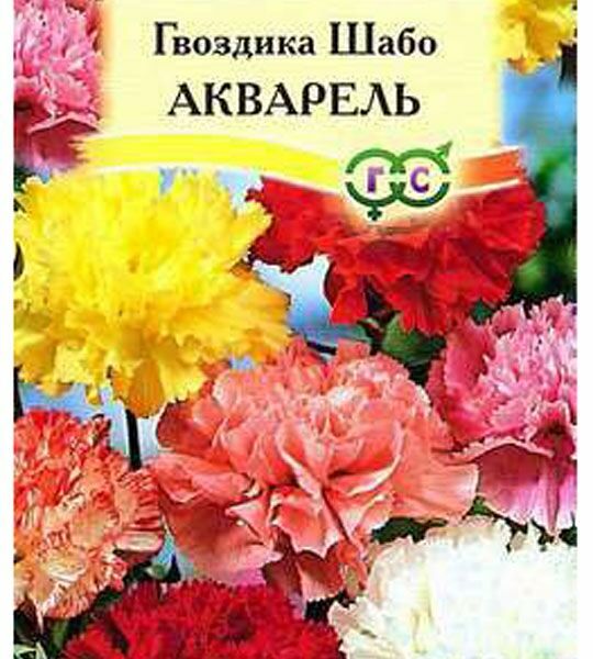 Семена гвоздика садовая - шабо акварель смесь ТМ Гавриш