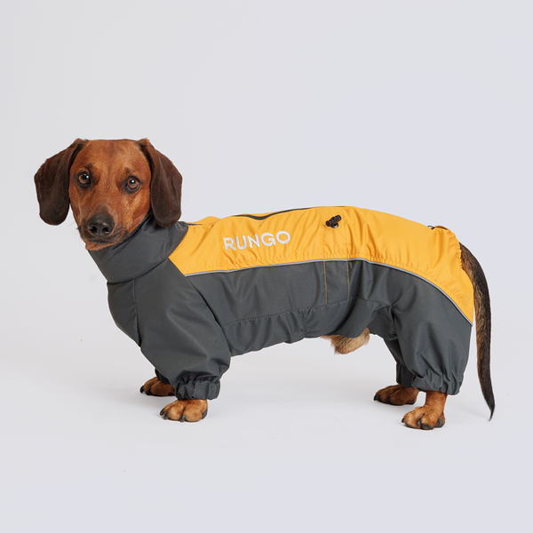Rungo Дождевик Такса средняя мальчик горчица