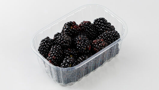 Ежевика Россия, 250 г