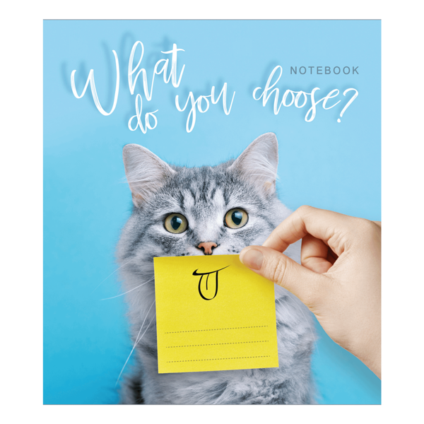 Тетрадь общая в клетку Улыбатор 48 листов, в ассортименте