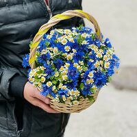 Изображение 5