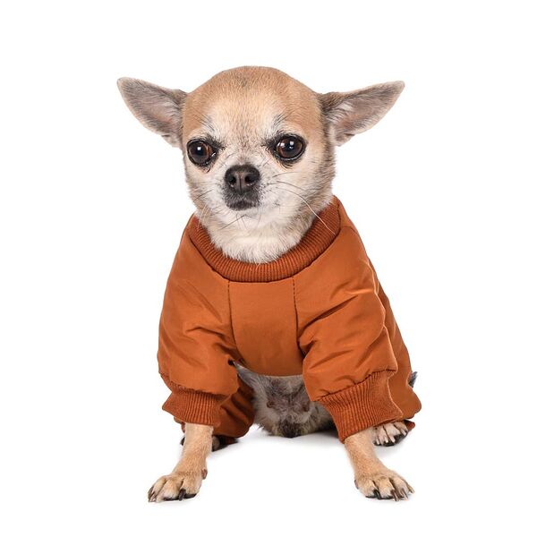 Комбинезон на молнии для собак S ржавый (унисекс)