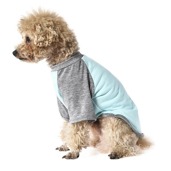 Футболка для собак FOXIE Snowstorm S (длина спины 30 см, обхват груди 26-30 см) голубая