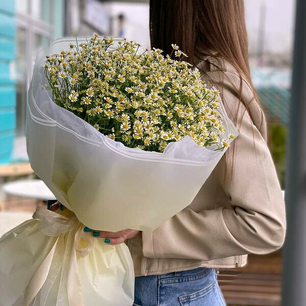 Ромашки для милашки