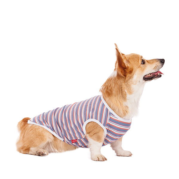 Футболка для собак 3XL фиолетовый (унисекс)