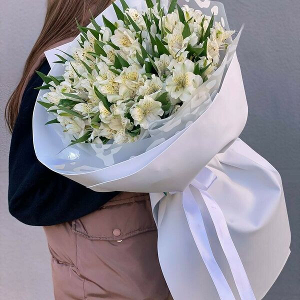 Стойкие альстромерии