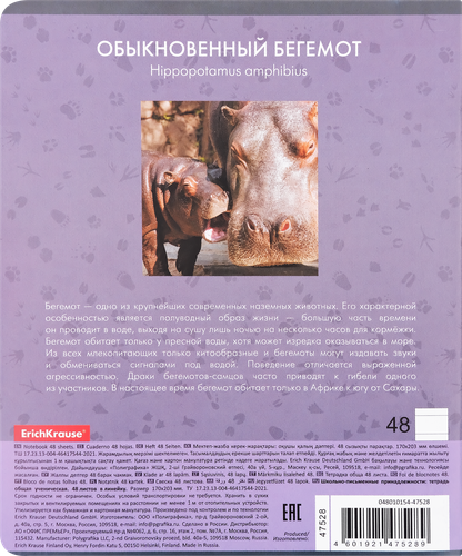 

Тетрадь общая ErichKrause Идиллия, в линейку, 48 листов, в ассортименте