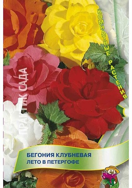 Семена бегония лето в Петергофе ТМ Поиск